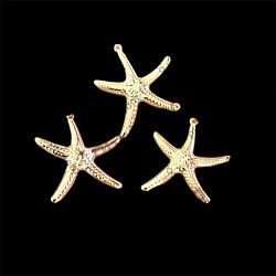 Estrella del mar